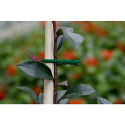 Nortene - Lien mousse biflex pour plantes fragiles - ø 5 mm