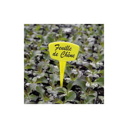 Nortene - Etiquette à planter lot de 10 Label 15 cm jaune