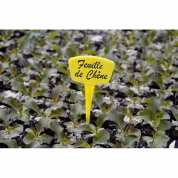 Etiquettes de jardinage en plastique jaune moutarde - (Marque non visible) Ces étiquettes de jardinage jaunes sont parfaites  ...