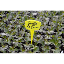 Nortene - Etiquettes de Jardinage Jaunes 25cm Durables et Recyclables
