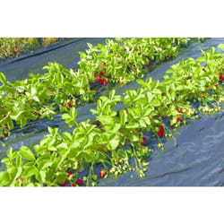 Nortene - Film de paillage Fraisiers microperforé - pe 50% - 1,40 x 10 m