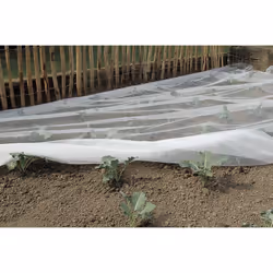 Filet anti-insectes Le filet de protection Biocontrol permet à tous les amateurs de jardinage de protéger les plantations et  ...