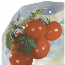 Housse de croissance tomate Tomatotube est une gaine de croissance pour pieds de tomates de grande qualité. Comme les autres  ...