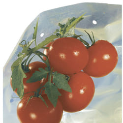 Housse de croissance tomate Tomatotube en film perforé jaune - avec liens - Nortene