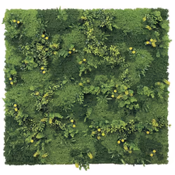 Jardin vertical imitation mousse. Transformez vos murs avec un vert éclatant en utilisant la nouvelle collection de jardins v ...