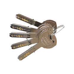 Cylindre haute sûreté T70 débrayable 2E 30x40 N TESA - T75D3040N