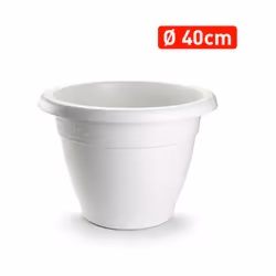 Jardinière ronde 42,5 x 42,5 x 33,5 cm -Fabriquée en plastique de haute qualité -Bordure décorative incluse -Couleur blanche.