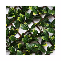 Treillis extensible en feuilles de laurier en osier Treillis extensible avec tiges en osier naturel et feuille de laurier syn ...