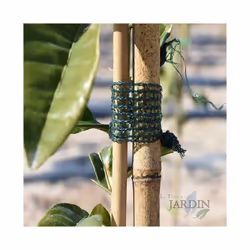 Cravate en raphia vert 3 cm x 50 m Le ruban de raphia est parfait pour fixer la plante à son support durablement et rapidemen ...