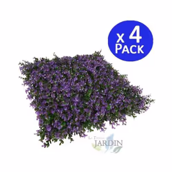 Jardin vertical Lavanda Le jardin vertical de lavande est la solution parfaite pour créer des environnements originaux et fra ...