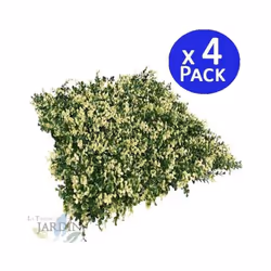 Jardin vertical Flavo Vous avez enfin une réponse originale et très créative pour décorer un espace, un mur ou un plafond ave ...