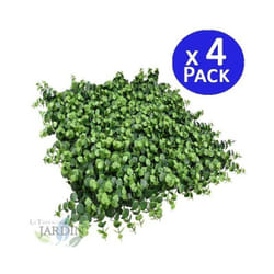 Lot de 4 Mur Végétal Artificiel Brise-Vue Verdissement Balcon Clôture de Jardin, avec Treillis, Feuilles de irolia, 50 x 50 cm