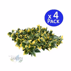 Jardin vertical Laurier Jardin vertical Laurel Nous disposons d'une grande variété de références de nos nouveaux modèles de j ...