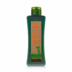 Salerm Cosmetics Shampoing Cheveux Traités 300 ml, 300 ml, Shampoing, Professionnel, Femmes, Cheveux colorés, Toutes les coul ...