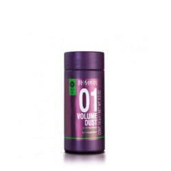 Salerm Cosmetics Volume Dust Pro·Line 10g