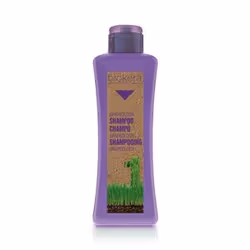 Salerm Cosmetics Shampoing grapeology 300 ml, 300 ml, Shampoing, Professionnel, Femmes, Cheveux colorés, Gris