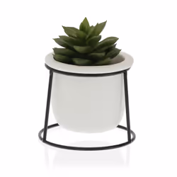 Versa 22290011 jardinière 1 pièce(s)