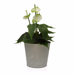 Versa 22350011 pot à fleurs