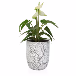 Versa 21790024 jardinière 2 pièce(s)