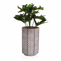 Versa 21790028 jardinière 2 pièce(s)