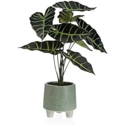 Versa Plante décorative Métal Céramique polystyrène Plastique 30 x 46 x 34 cm