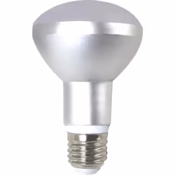 Silver Electronics 998017, 10 W, 80 W, E27, 870 lm, 25000 h, Blanc