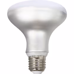 Silver Electronics 999017, 12 W, 100 W, E27, 1060 lm, 25000 h, Blanc