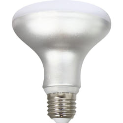 Silver Electronics 999017 ampoule LED 12 W E27