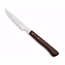 Steak