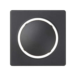 Simon 82034-38 Plaque de commutation et obturateur Graphite