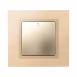 Simon 82031-34 Plaque de commutation et obturateur Champagne
