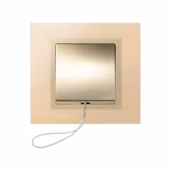 Simon 82051-34 Plaque de commutation et obturateur Champagne