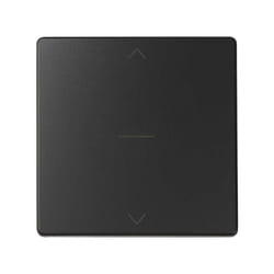 Simon 82033-38 Plaque de commutation et obturateur Graphite