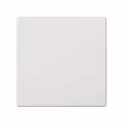 Simon 50010800-030, Plastique, Simon 500, IP20, CE, 50 mm, 50 mm