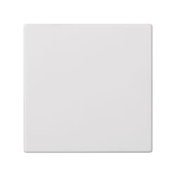 Simon 50010800-030 Plaque de commutation et obturateur