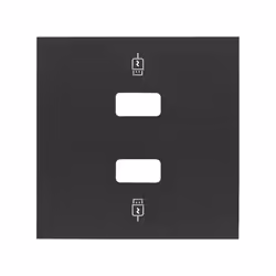 Simon 10001096-238, Noir, Plastique, Simon 100, USB, IP20, CE