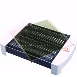 JATA TT589 gril éléctrique Pose libre 550 W Acier inoxydable, Blanc