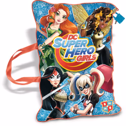 IMC Toys Dc Super Hero Girls - Coussin Secret