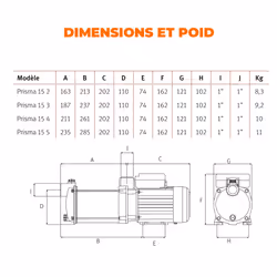 EUROPALAMP PRISMA15-4M pompe à eaux 3900 l/h