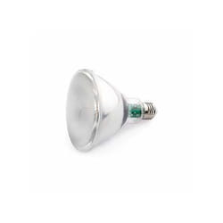 Faro 17400 ampoule LED 10 W E27