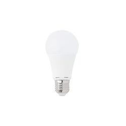 Faro 17067 ampoule LED 10 W
