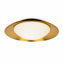 Faro SIDE, LED, Ampoule(s) non remplaçable(s), 3000 K, 1200 lm, IP20, Noir, Cuivre