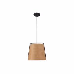 Faro 29848, Noir, Acier, Bois, IP20, II, E27, 20 W