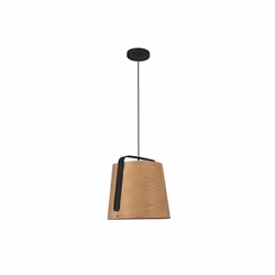 Faro 29848 éclairage en suspension E27 20 W Noir