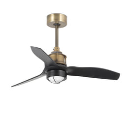 Faro 33429-10 ventilateur Noir, Or