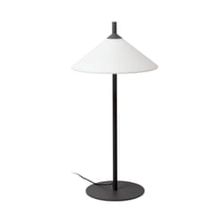 Faro 71575-01 éclairage extérieur Éclairage de plancher extérieur E27 15 W