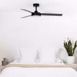 Ventilateur de plafond - Faro - BARTH - Noir - 3 pales - Lumière LED intégrée