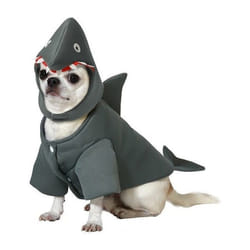 Déguisement de Requin pour Chien
