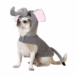 Déguisement dEléphant pour Chien