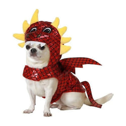 Déguisement de Dragon pour Chien